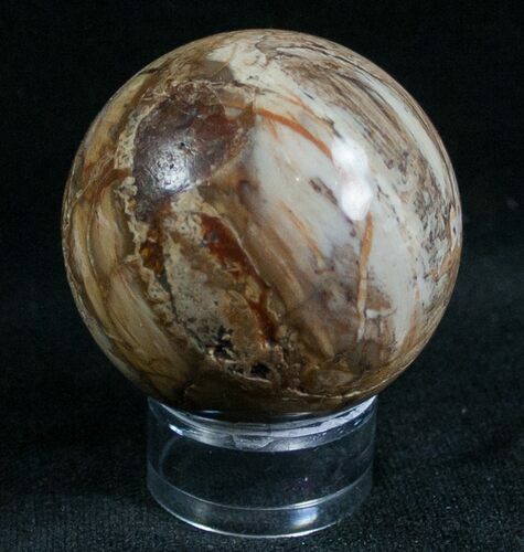 Colorful Petrified Wood Sphere #6811
